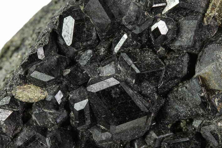 Black Andradite (Melanite) Garnet Cluster - Morocco #107900